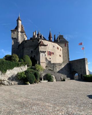 Saint Bernard qui parle - Château de Menthon